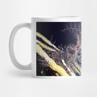 Giant Basket Star at night Mug